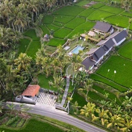 Green Coconut Cottage Ubud Esterno foto