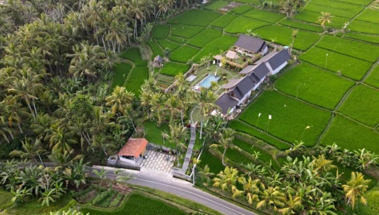 Green Coconut Cottage Ubud Esterno foto