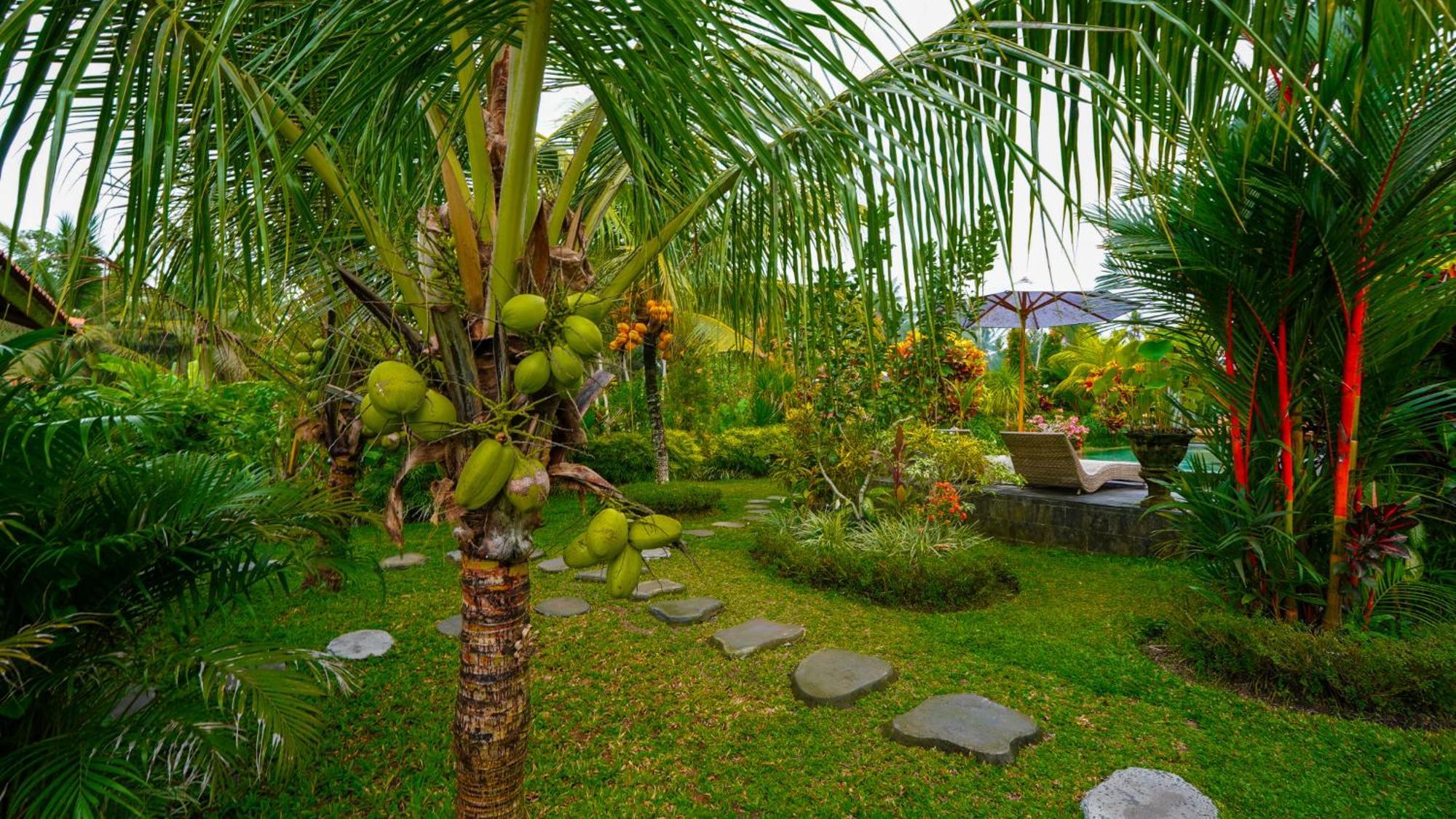 Green Coconut Cottage Ubud Esterno foto