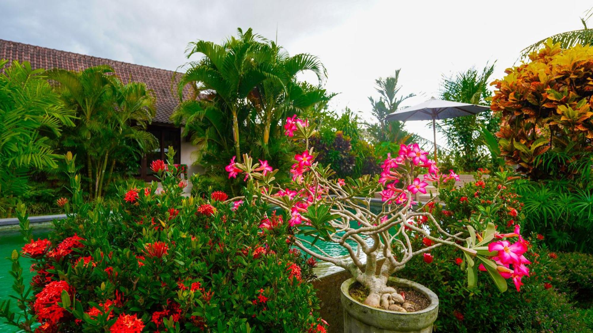 Green Coconut Cottage Ubud Esterno foto