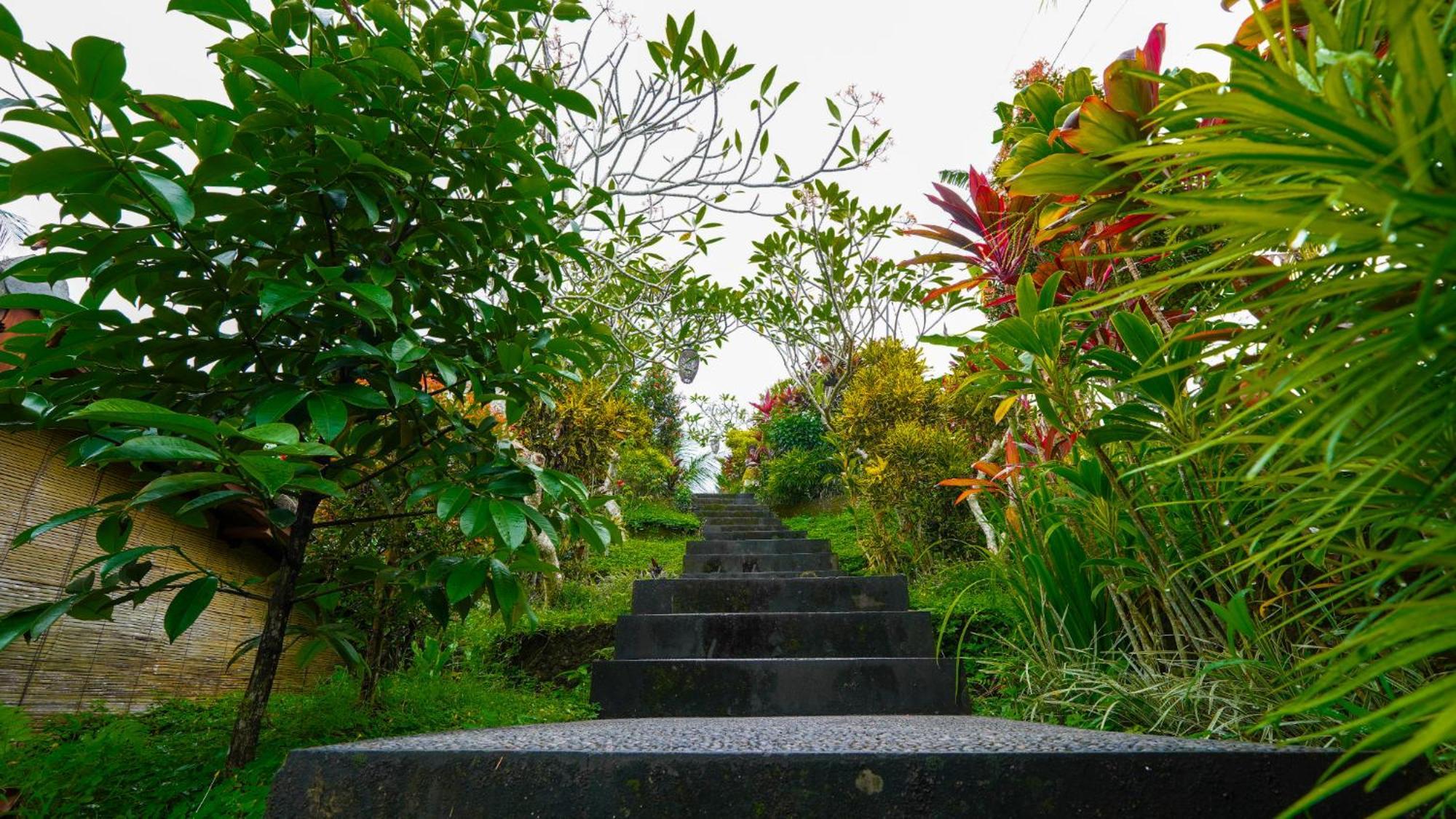 Green Coconut Cottage Ubud Esterno foto