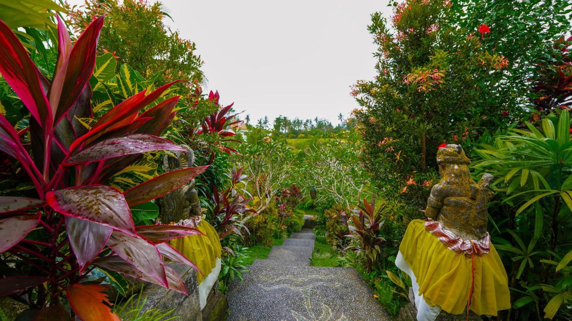 Green Coconut Cottage Ubud Esterno foto