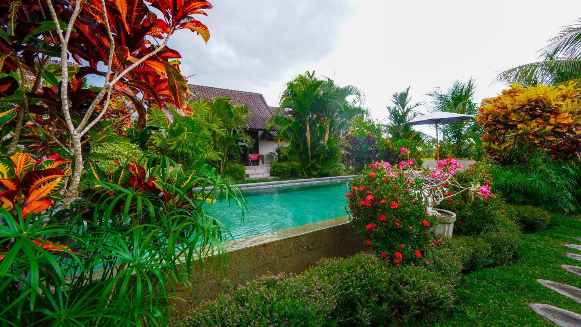 Green Coconut Cottage Ubud Esterno foto