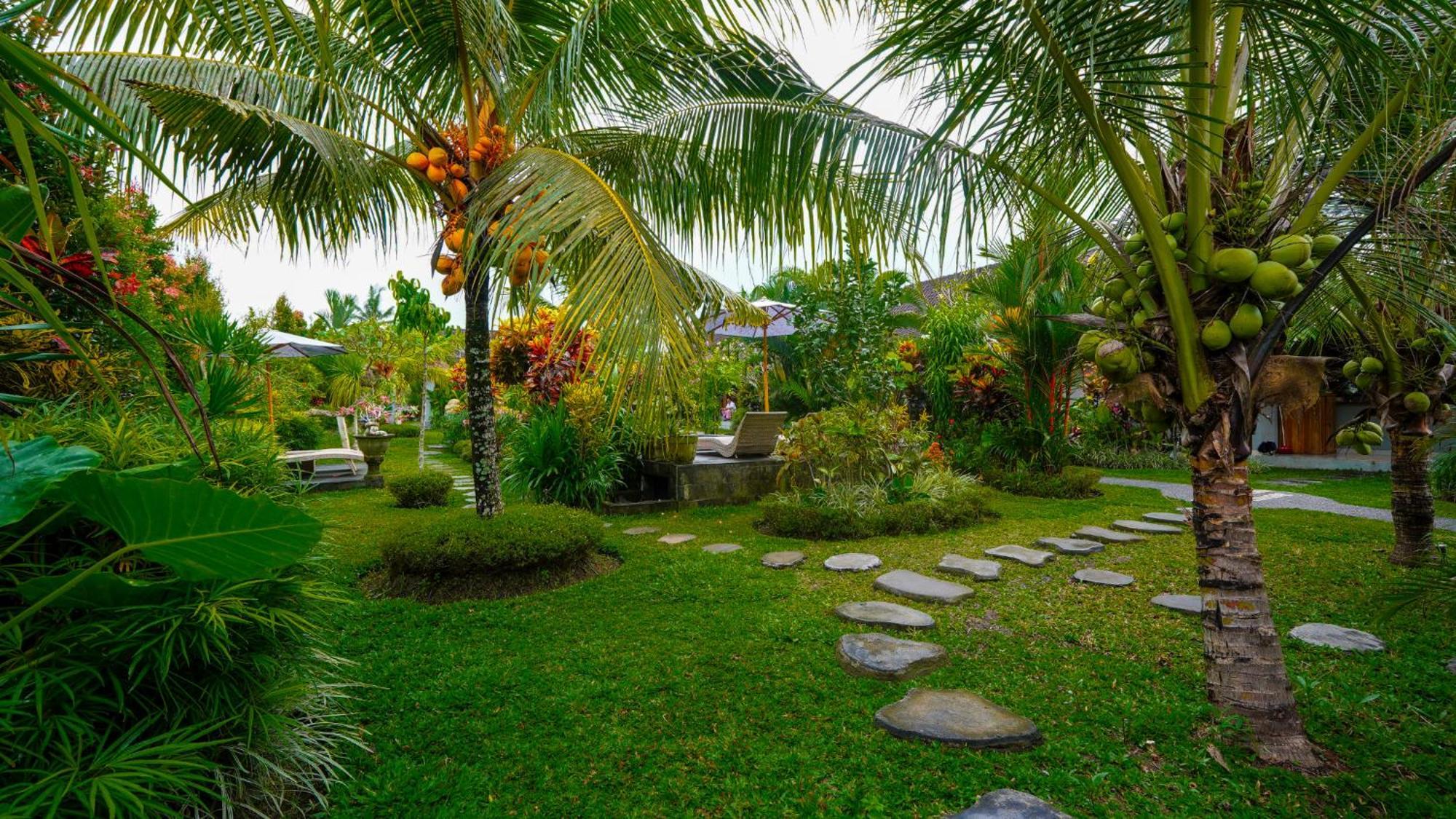 Green Coconut Cottage Ubud Esterno foto