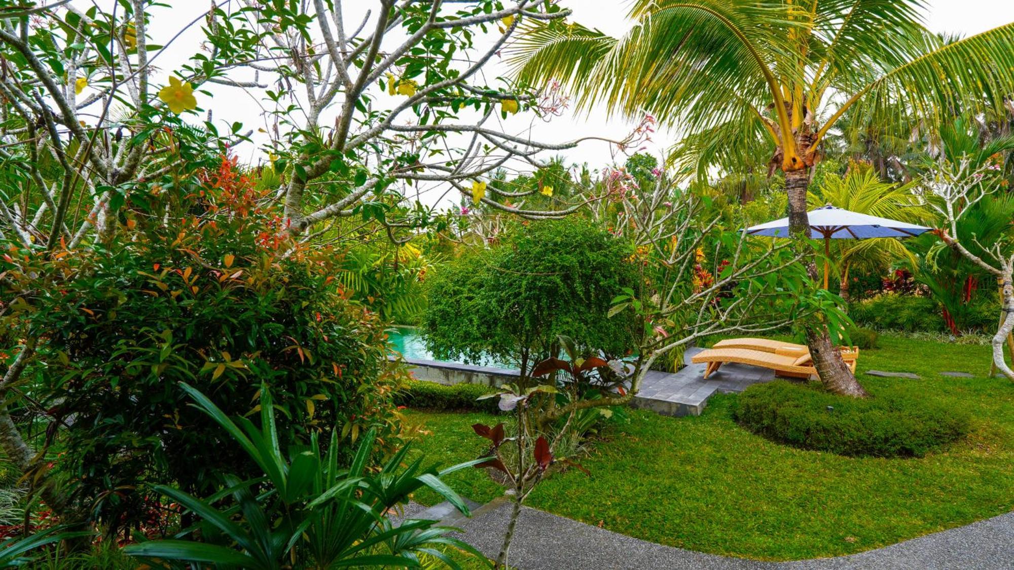 Green Coconut Cottage Ubud Esterno foto