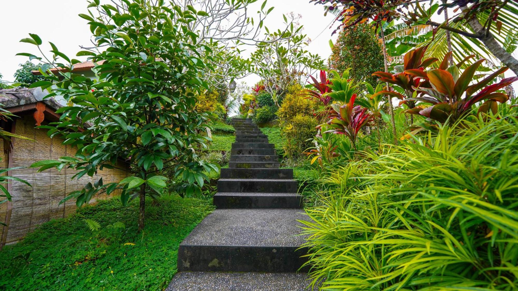 Green Coconut Cottage Ubud Esterno foto