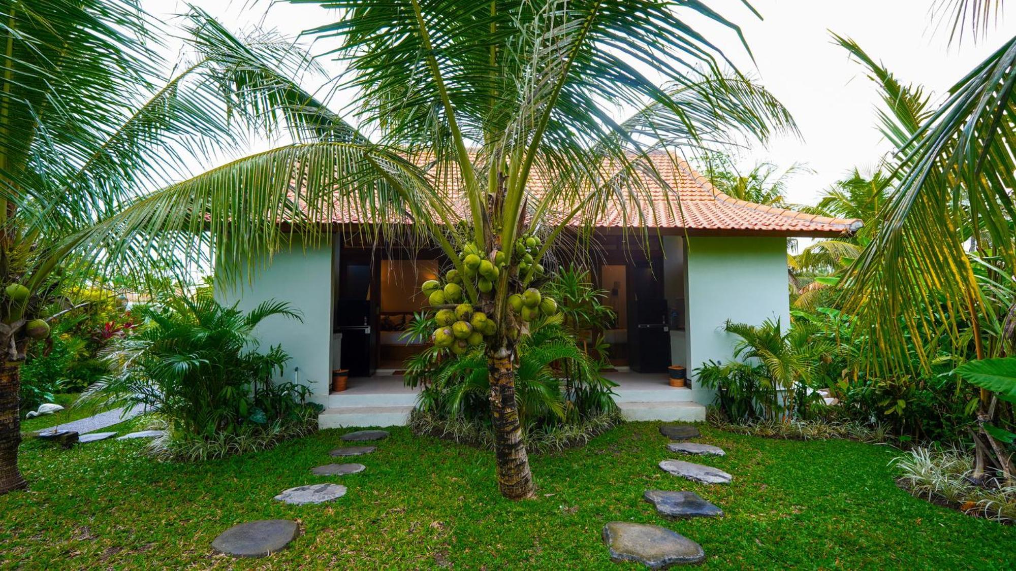 Green Coconut Cottage Ubud Esterno foto