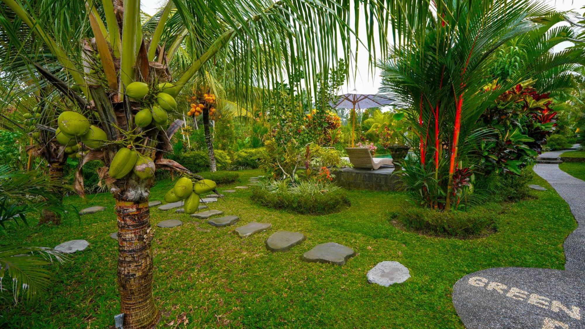 Green Coconut Cottage Ubud Esterno foto